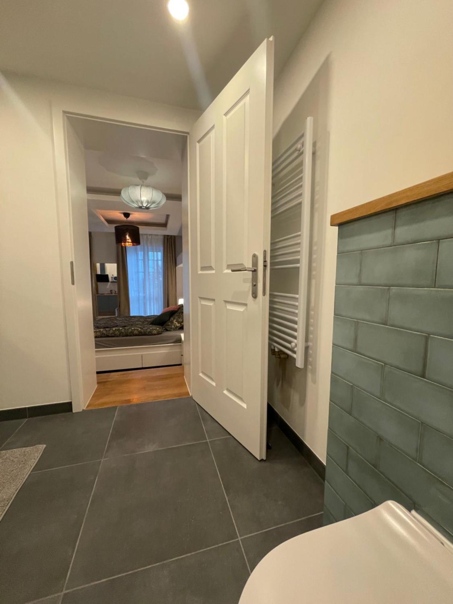 Boutique Hotel Pension Luisengruen Kueche 1Gbs Wlan Netflix Disney Magentatv Chemnitz Exterior foto